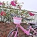 Kid's Bike Basket, Front Handlebar Boy's Bicycle Basket with 3 Pcs Alphabet Flower Animal Stickers, 36 Pcs Bike Wheel Spokes for Kids Chirlden Gift DIY Sets - Blue