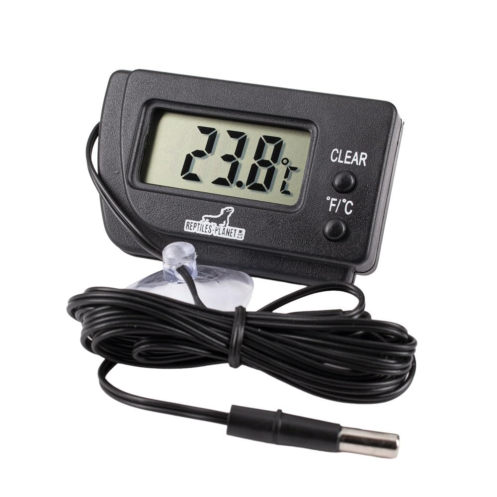 Reptiles-Planet Thermometer for Terrarium, Small