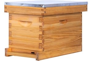 ThxBees 5 Frame Nuc Beehive Kit, Complete Bee Hive Nuc Box Coated with Beeswax Includes Beehive Frames and Waxed Foundations for Beekeeping (Unassembled)