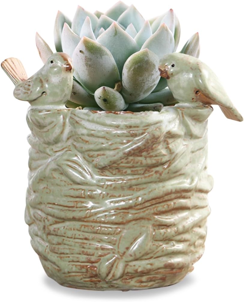 Dahlia Sweet Home Birds Nest Handmade Ceramic Succulent Planter/Plant Pot/Flower Pot/Bonsai Pot