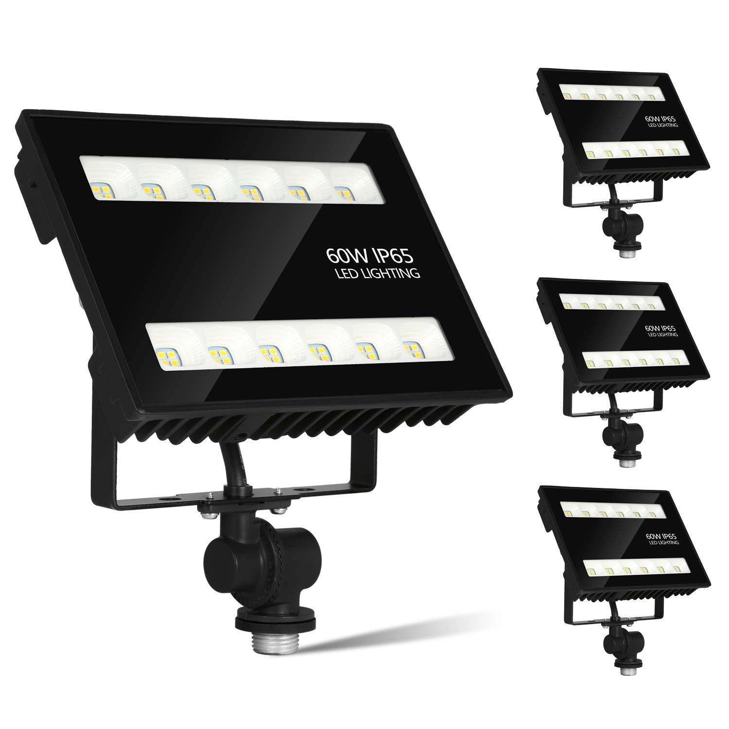 Best Back Yard Building