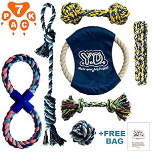 extreme dog fence second generation