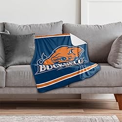 Bucknell University Bison Primary Logo Stripes