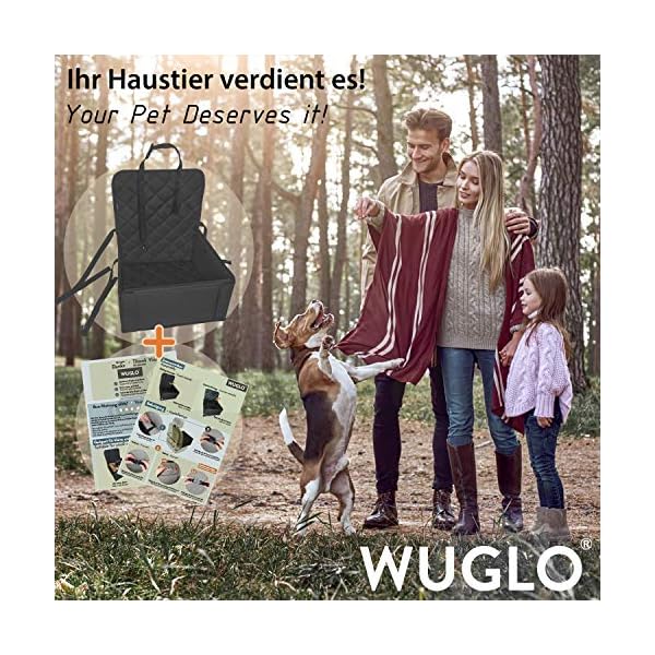 Extra Stabiler Hunde Autositz Hochwertiger Auto Hundesitz für kleine