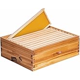 10-Frame Beehive Box Langstroth Medium Super Bee Box for Sale Wax Coated Bee Hives Includes Wooden Frames & Waxed Foundations (Unassembled)