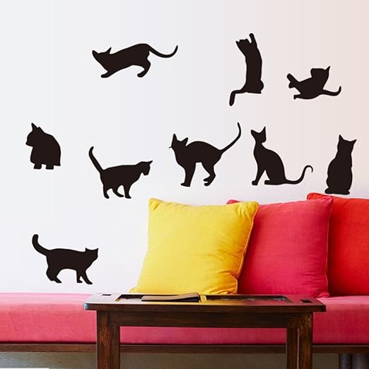 Gatos pared | Todo gatos