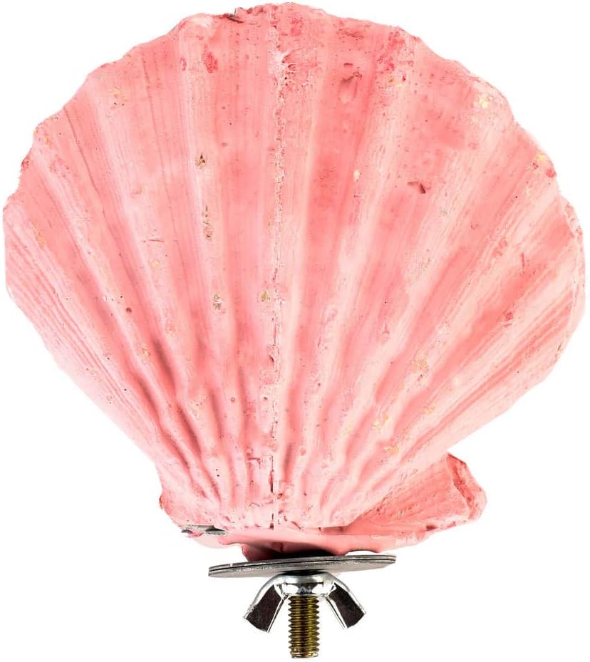 Edible Calcium Clam Parrot Perch, Edible Calcium Parrot Perch for Birds Like Budgie Budgie Mineral Block - Image 4