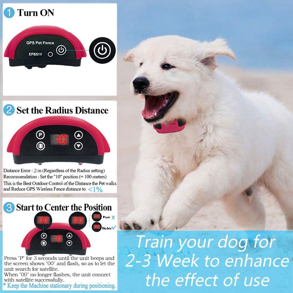 angelakerry dog fence