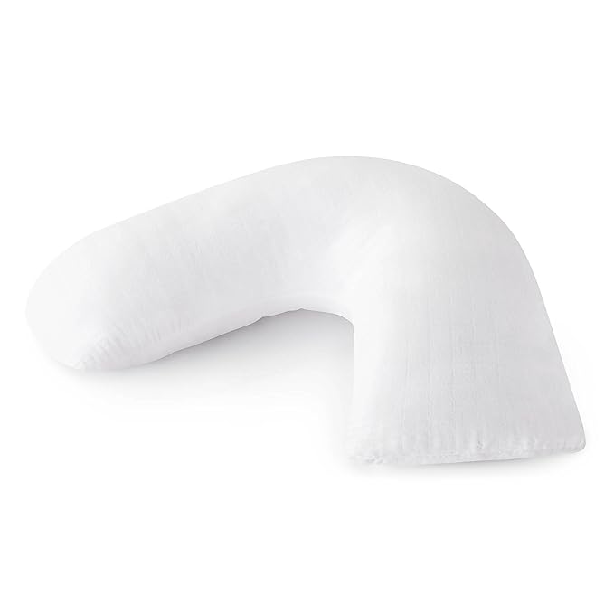 aden anais nursing pillow