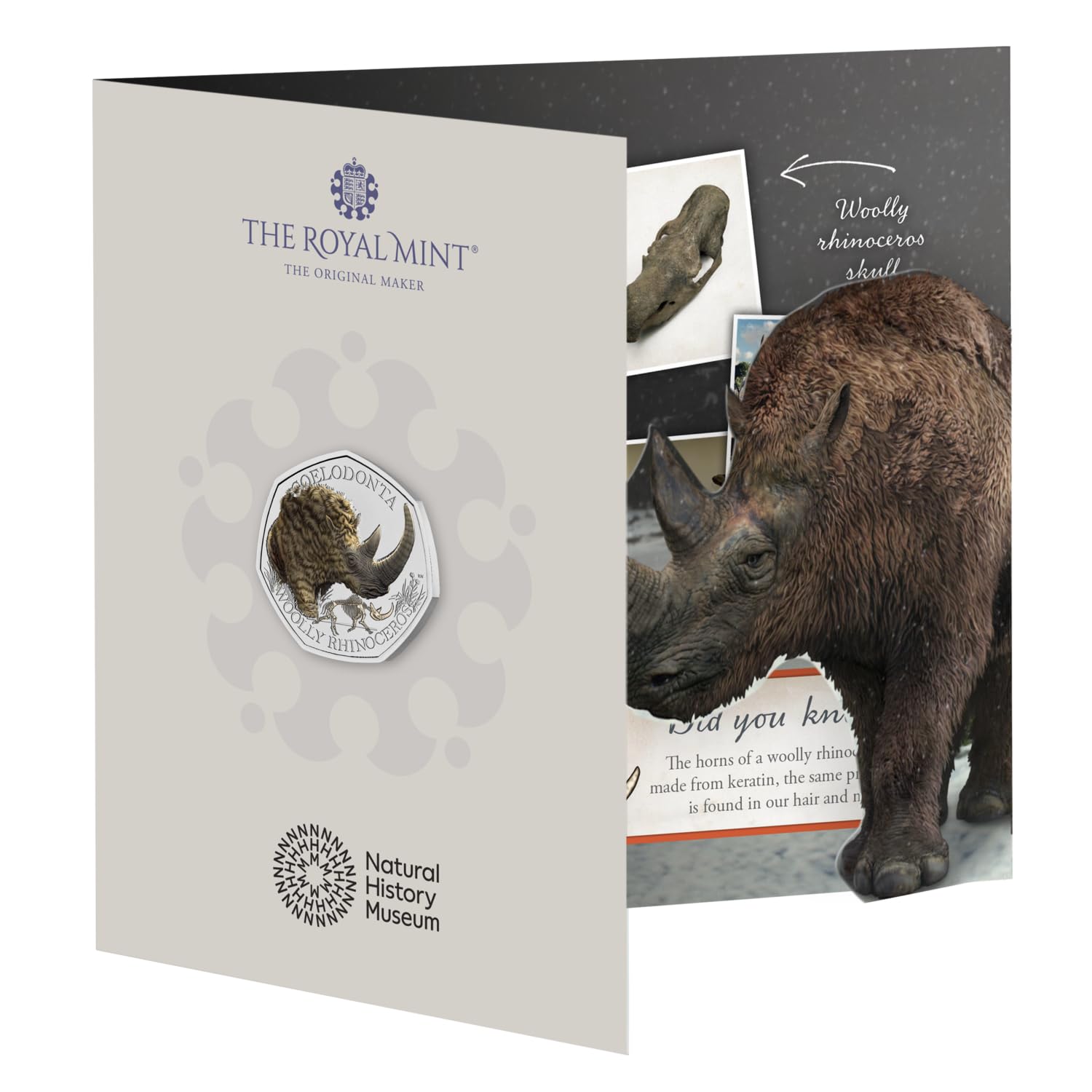 The Royal Mint - Woolly Rhinoceros 2024 UK 50p Brilliant Uncirculated Colour Coin, Colour-printed Design, A Treasured Keepsake β image 1