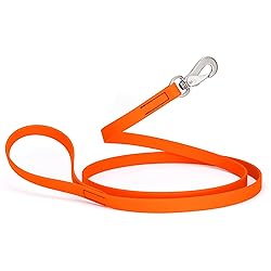 Randstark Biothane Waterproof Durable Dog Leash