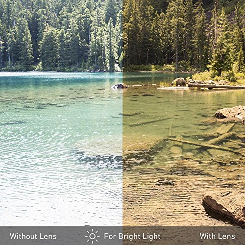 Revant Replacement Lenses for Oakley Gascan Ice Blue MirrorShield