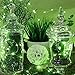 SENHAI 6 PCS Fairy String Lights 7.2ft 20 LEDs Wire Battery Powered Fairy Rope Light for Decoration (6 Colors)