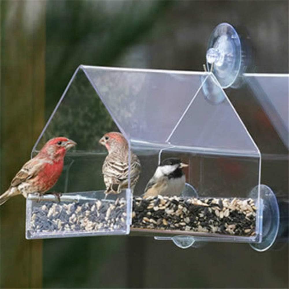 aviary bird seed feeders