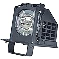 Molgoc 915B441001 Replacement Lamp Compatible with WD-82838,WD-65738,WD-82738,WD-60738,WD-60638,WD-65838,WD-73638 Rear Projection TV Lamp.