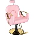 Dangvivi Pink Barber Chair for Home Barbershop, Hair Salon Chair for Hair Stylist, Reclining Hydraulic Styling Armchair, 360°Rotation,135°Recline,Beauty Salon Hairstylist Gift for Women