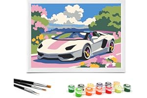 Nariolar Paint by Numbers for Kids Ages 4-8 with 7X9.5 inch Pre-Printed Cardboard,12 Acrylic Paint Pots and 3 Painting Brushes, Craft Gift Room Decor for Children,(White Car)