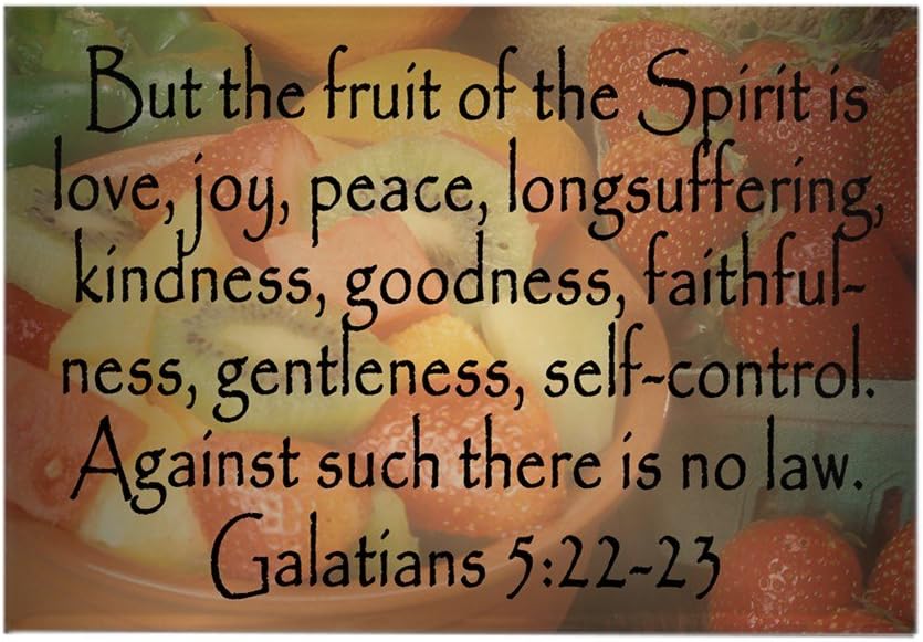 Which Is The Best Refrigerator Magnet Fruit