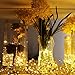 Tasodin led Fairy Lights Waterproof 16.4ft String Lights Battery Operated for Wedding, Home, Garden, Party, Christmas Decoration, Warm White