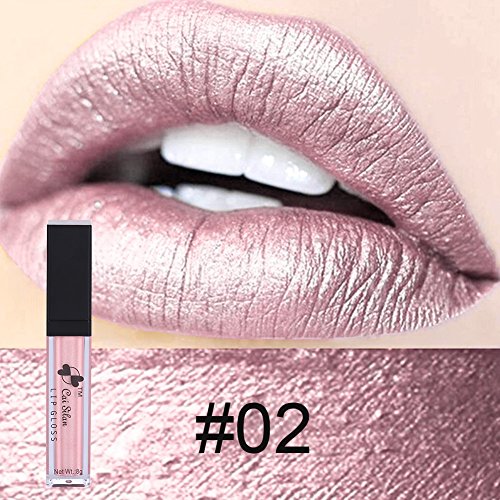 Froomer Metallic Matte Lipstick Metal Long Lasting Waterproof Lip Gloss (#2)