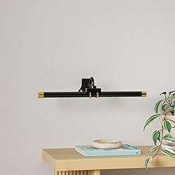 Picture Light with Remote, Led Accent Light