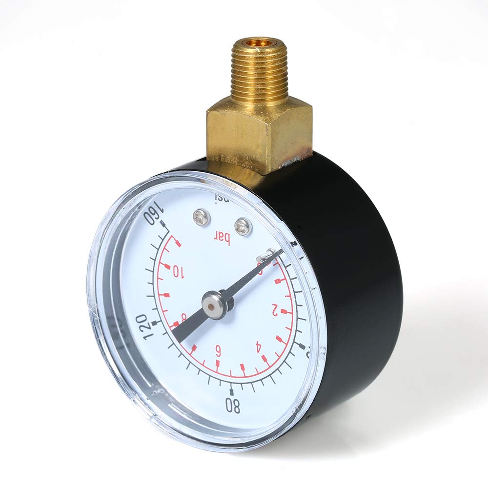 The 10 Best Water Filter For Festnight Pools