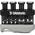 D'Addario Woodwinds WW-PG-01 Practice Grip Instrum