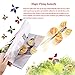 beemean Magic Flying Butterfly Gift Cards - Wind Up Butterfly in The Book Fairy Toy Great Surprise Wedding (8PCS)