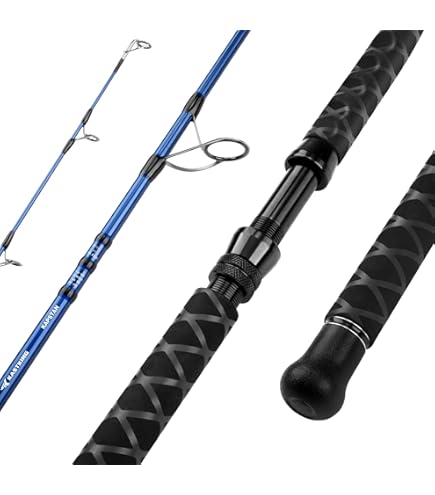 Amazon.com : Daiwa Prime SURF T #27-425-W : Sports & Outdoors