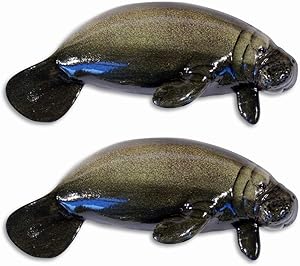 Handpainted Manatee Sea Cow Wall Mount Decor Plaque 6