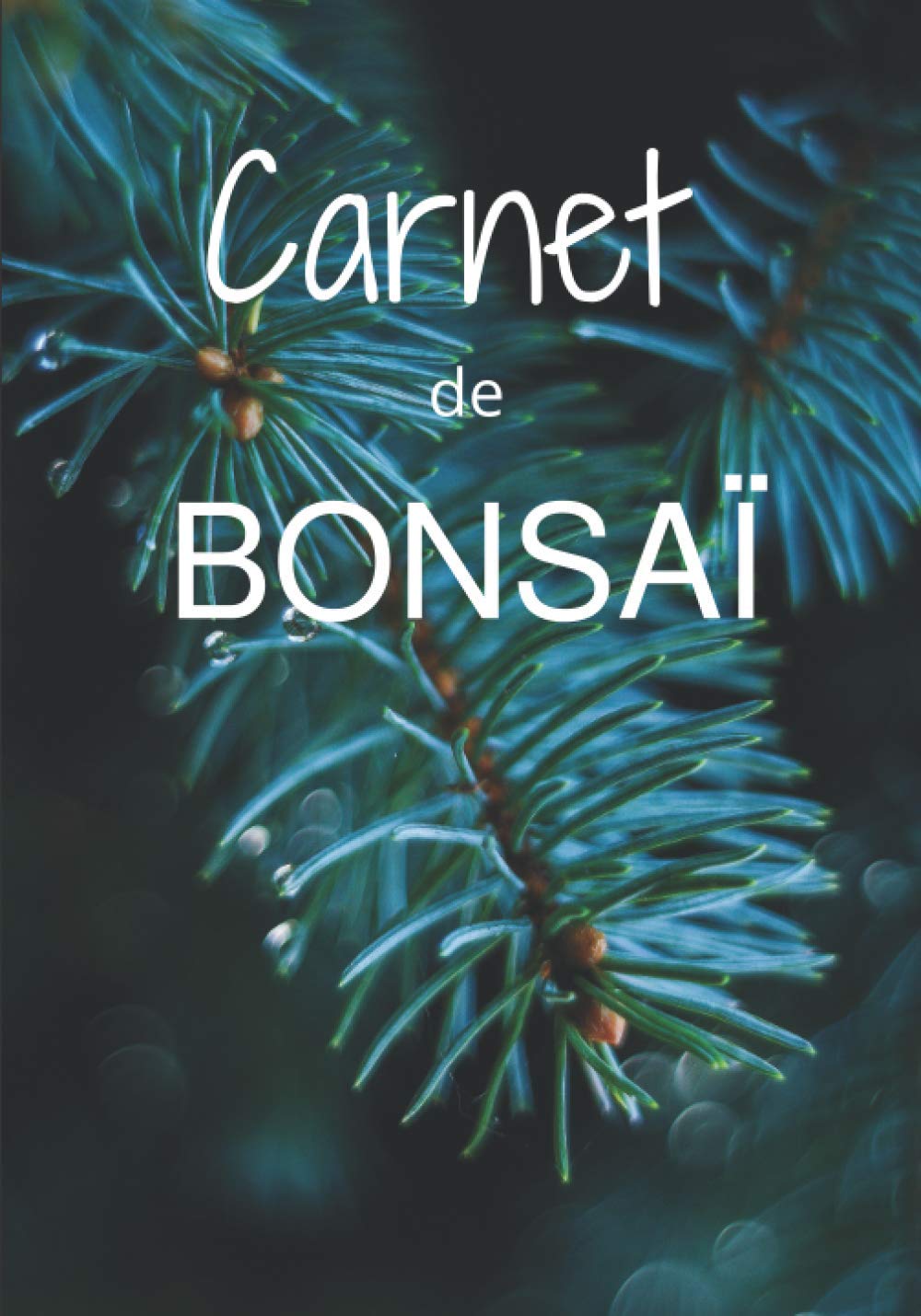 Carnet de Bonsaï: Carnet de note pour vos bonsaï - Les travaux effectués au fil des saisons sur vos arbres préférés - 100 pages à compléter - 7x10 pouces