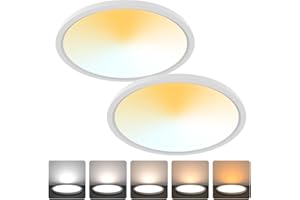 Aialun 16/20/24W Led Ceiling Lights Flush Mount, 0.67" Super Slim 12 Inch Ceiling Lights Dimmable, 2700K-6500K 5 Color Selectable Close to Ceiling Light fixtures for Bathroom, Kitchen, Hallway, 2 Pack