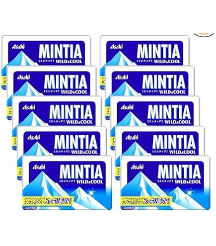 Amazon.com : Mintia Wild & Cool 0.2oz 10pcs Japanese Tablet Candy