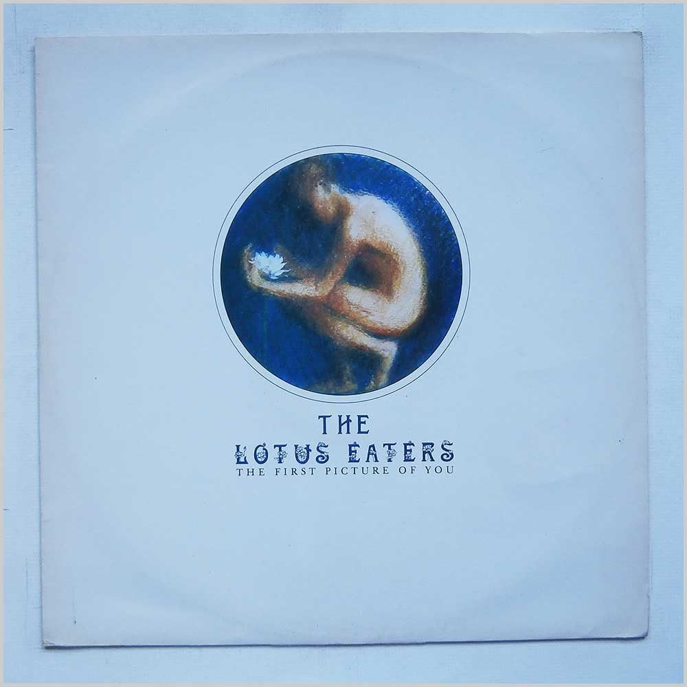 The First Picture Of You [LP]