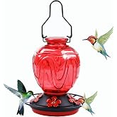 Glass Hummingbird Feeder for Outdoors Hanging, 24Ozs Humming Bird Nectar Feeder w/Perch, 5 Flower Feeding Ports, Leak Proof B