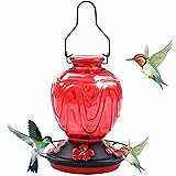 Glass Hummingbird Feeder for Outdoors