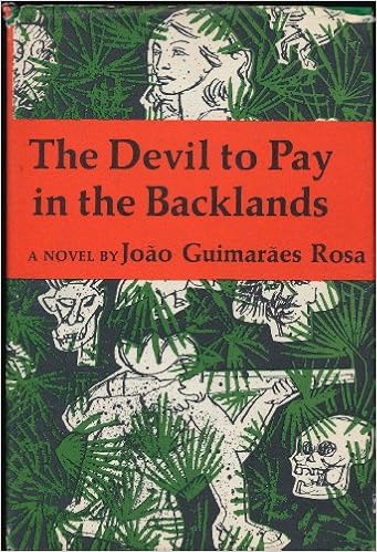 The Devil to Pay in the Backlands book cover