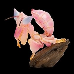 IFiDEA Animal Heavenly Body Series 11 Insect Chubby