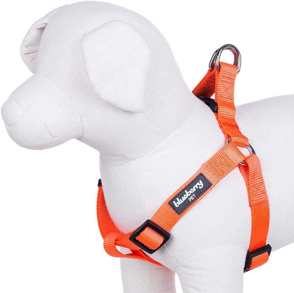 Blueberry Pet New Stepin Classic Dog Harness, Chest Girth 42cm54cm