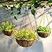 CandyHome 12 Pcs 2 Inches Ceiling Hooks Cup Hook Holder Screw-in Hooks for Hanging Plants Mugs Kitchen Utensils Wind Chimes and More (White)