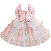 RWYBEIW Baby Girl Fairy Butterfly Wing Princess Dress First Birthday Outfit | Toddler Baby Girl Fairy Butterfly Wings Princess Dress Sleeveless Mesh Tulle Tutu Dress Fairy First Birthday Decorations