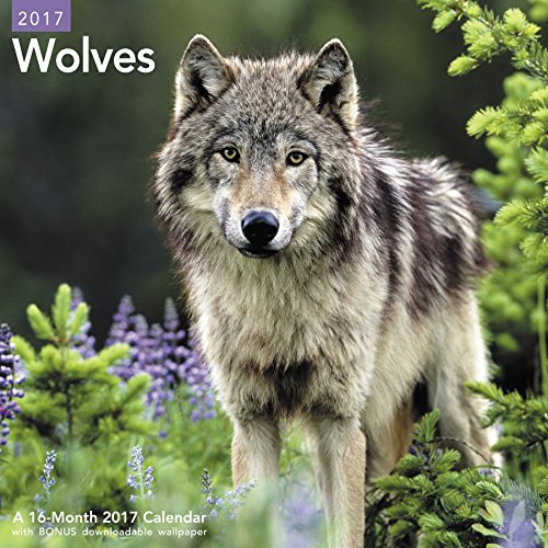 Wolves Wall Calendar (2017)