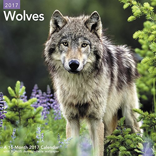 UPC 038576257573, Wolves Wall Calendar (2017)