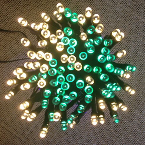 DeVida Green and Warm White Solar String Decorations Lights, Outdoor 100 Mini LED Waterproof Set