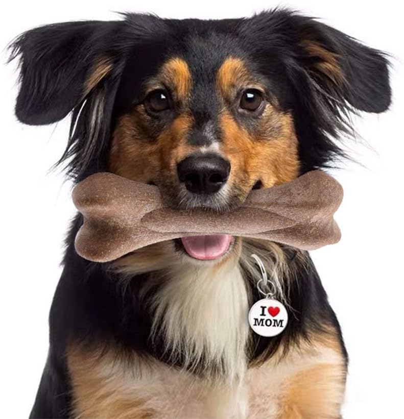 bamboo toxic to dogs