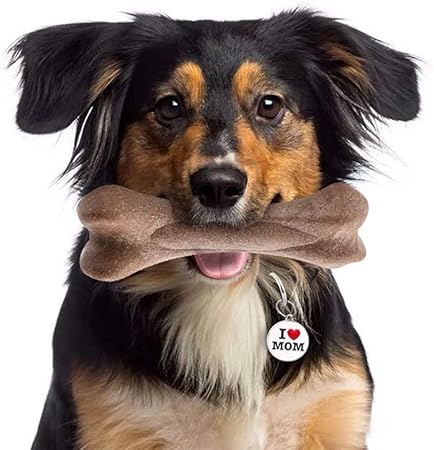 large aggressive dogs