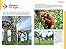 Pocket Singapore 4 (Lonely Planet Pocket)