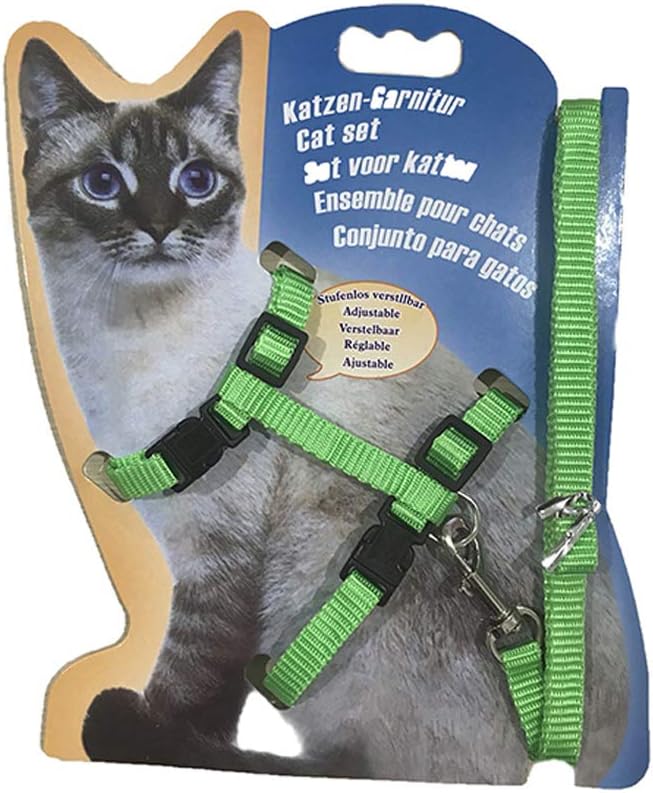 kitten harness pets at home