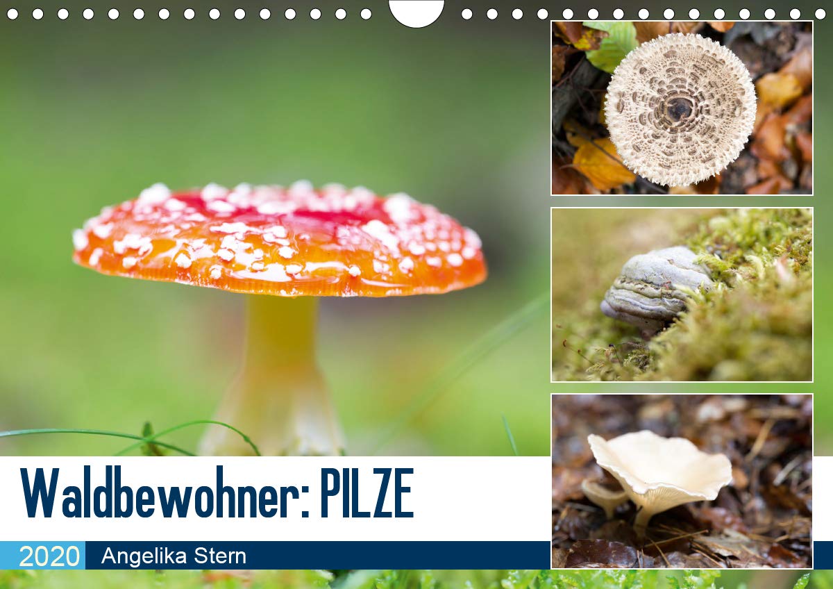 Evasion dans l'imaginaire 2020: Mon imagination se matérialise dans un jeu abstrait plein de couleur, joie et harmonie qui me ramène dans le monde de l'enfance. (Calvendo Art)