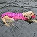 WOPET Dog Life Jacket Size Adjustable Dog Lifesaver Safety Vest (M, Pink)